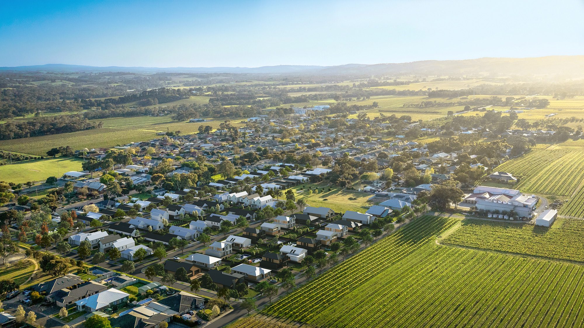 Verdure Estate Aerial with houses web